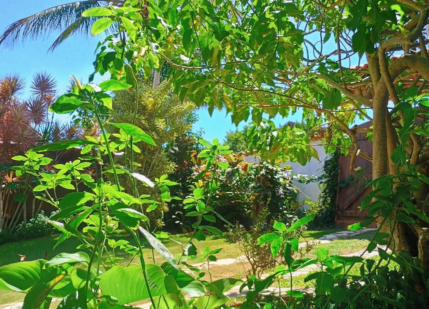 Bed & Breakfast Namorada Brava Guest House Armacao dos Buzios
